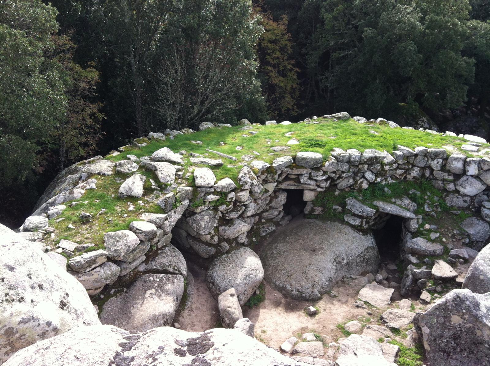  ©O Leonetti Levie -Site préhistorique  de Cucuruzzu IMG-20250702-WA0007