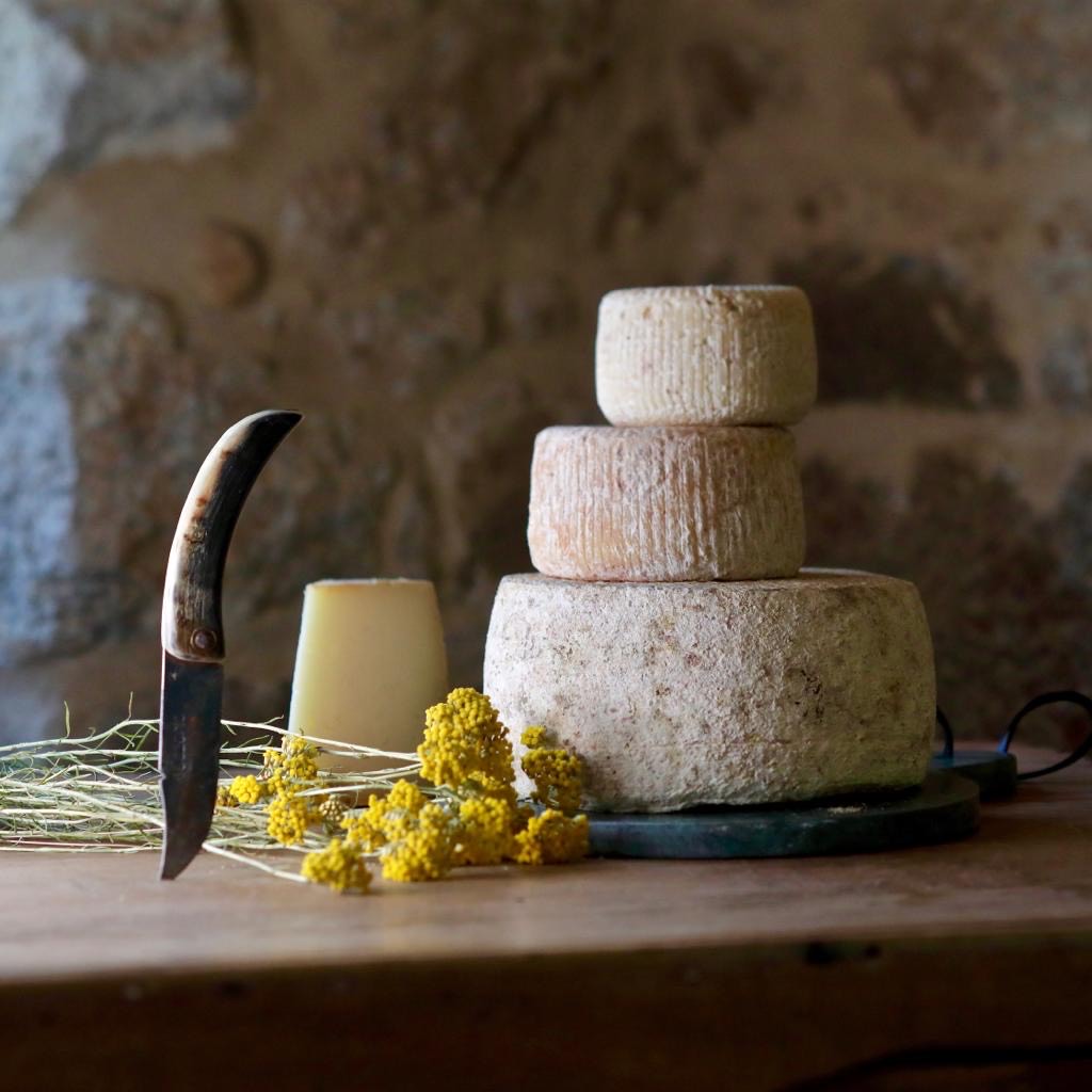 Fromagerie Ottavi Ghisonacccia 1