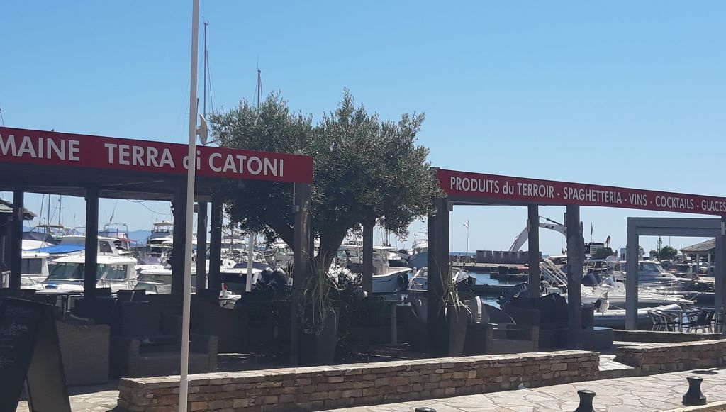  107813277-182978489851638-8921175568465685941-o-2