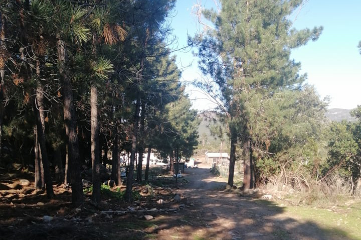  bergerie frassigna bonifato corse