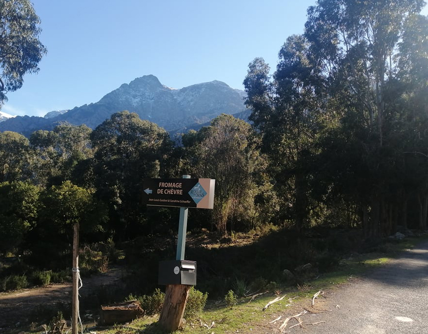  bergerie frassigna bonifato corse