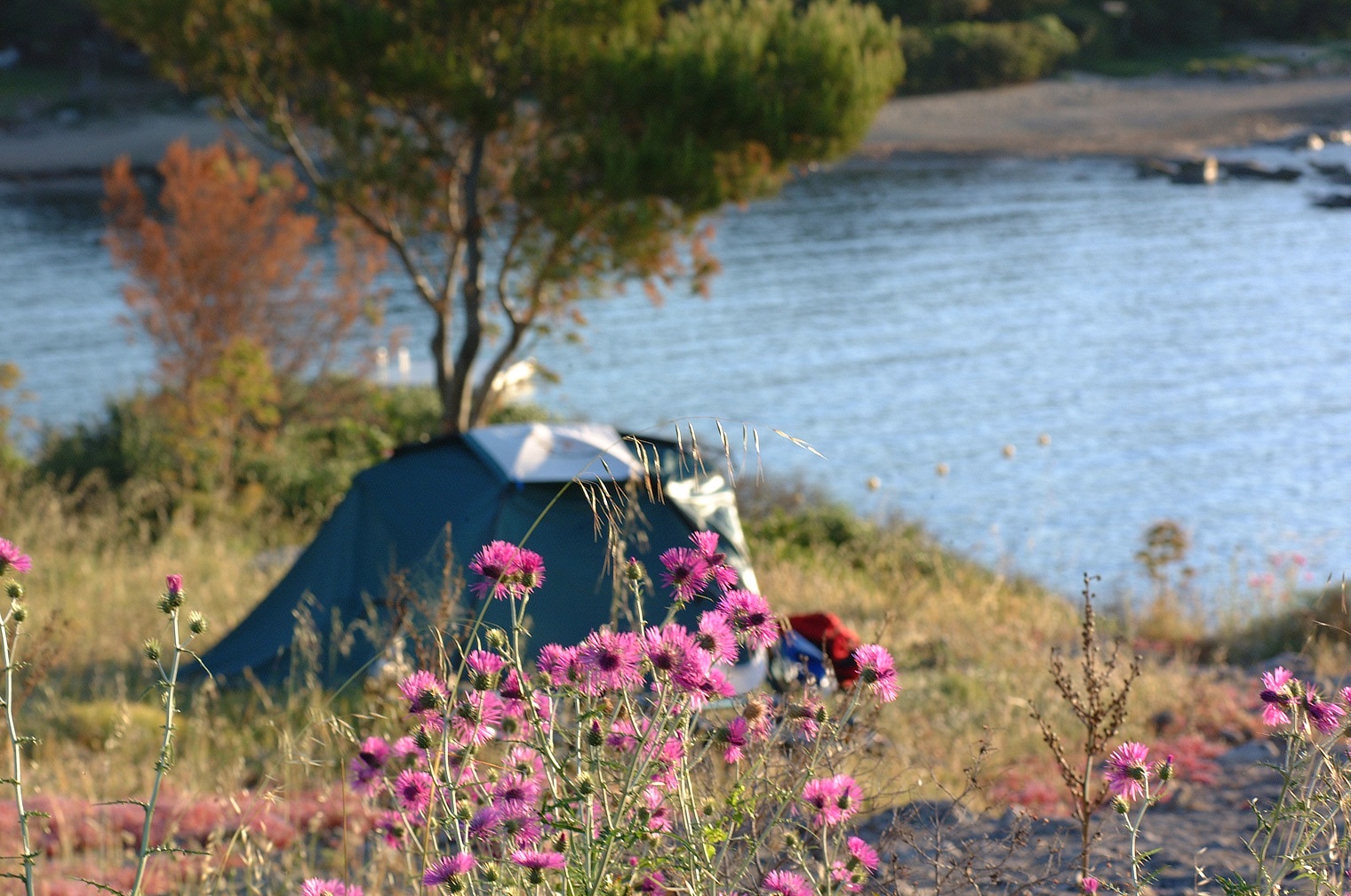  Camping & Village Naturiste La Chiappa