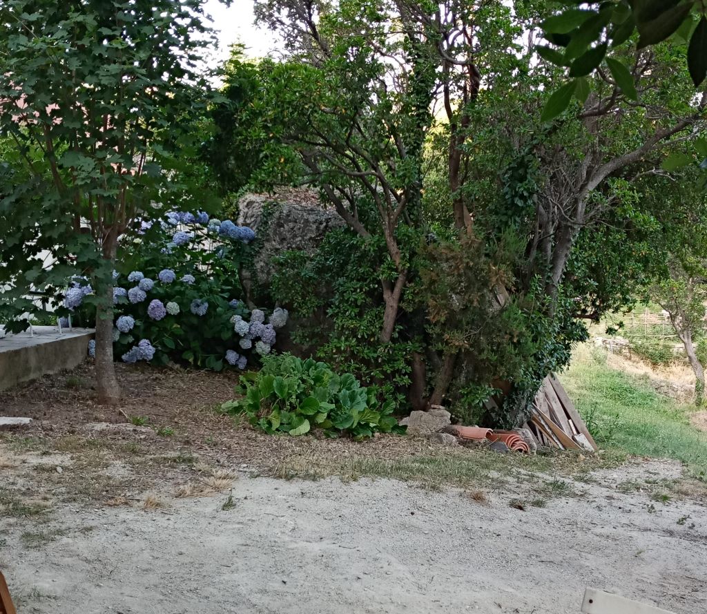  16-Jardin-Est