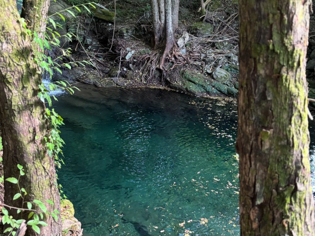  format tourinosft - 2