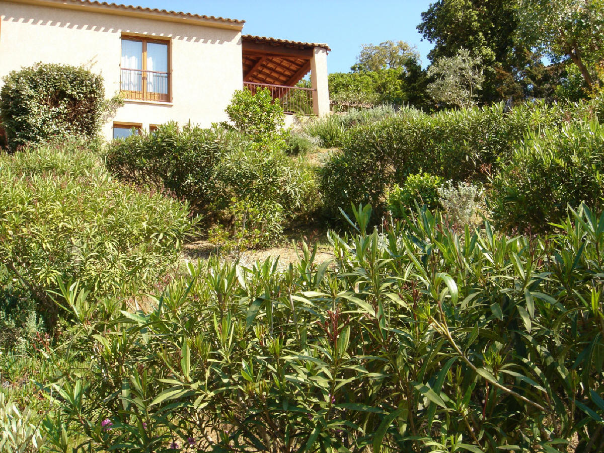  20.Le jardin