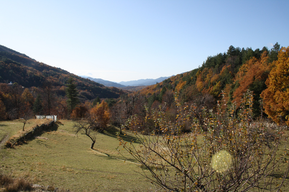  20091_21