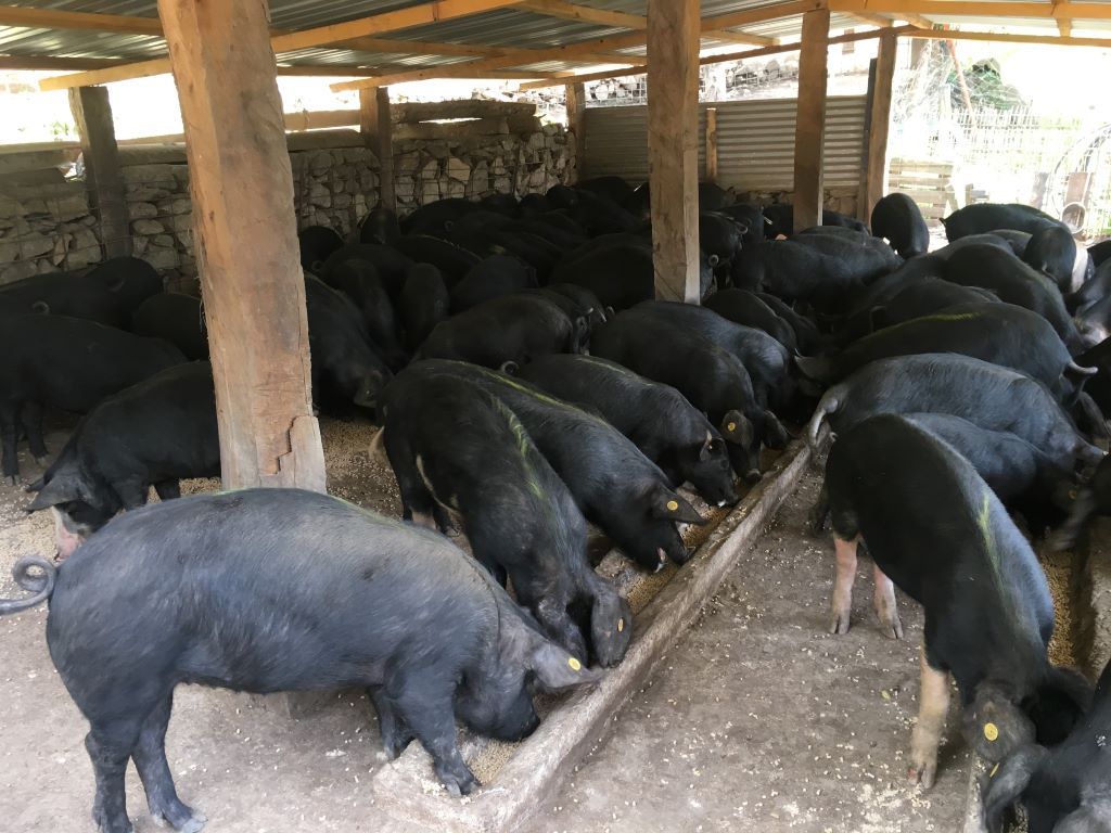  2020-Charcuterie-U-Porcu-Neru-4-2