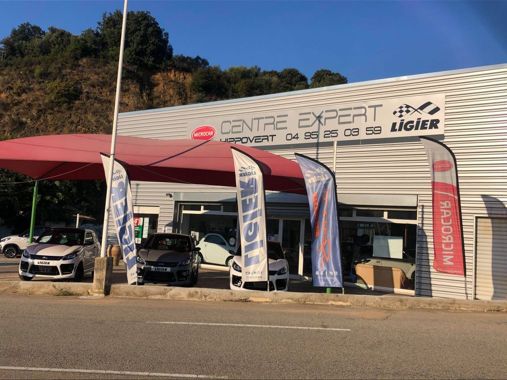  2020-DFA-Hippovert-1--1-