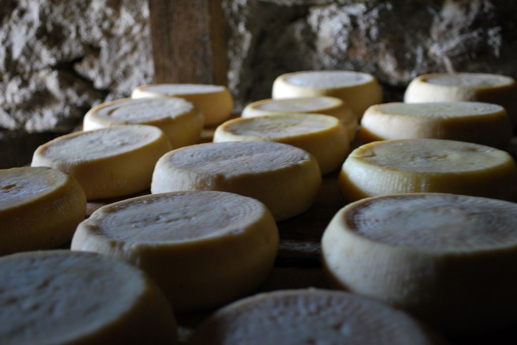  2020-Fromagerie-I-Casgioni-3