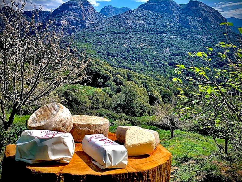  2020_fromagerie Muraccioli JD_ 1