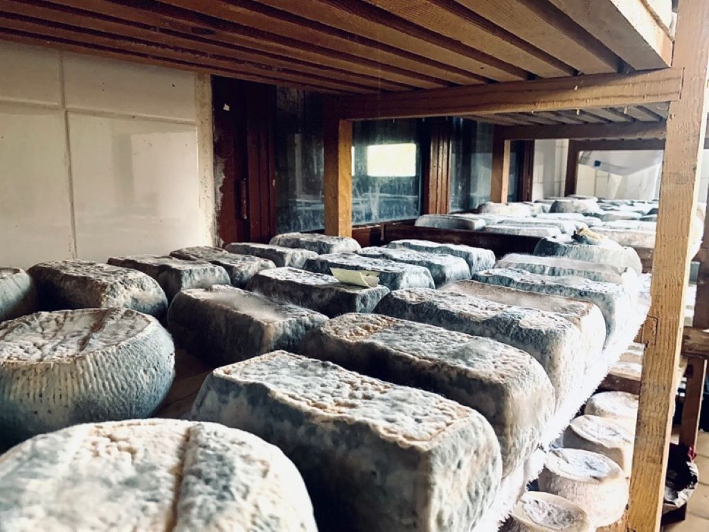  2020_fromagerie Muraccioli JD_ 2