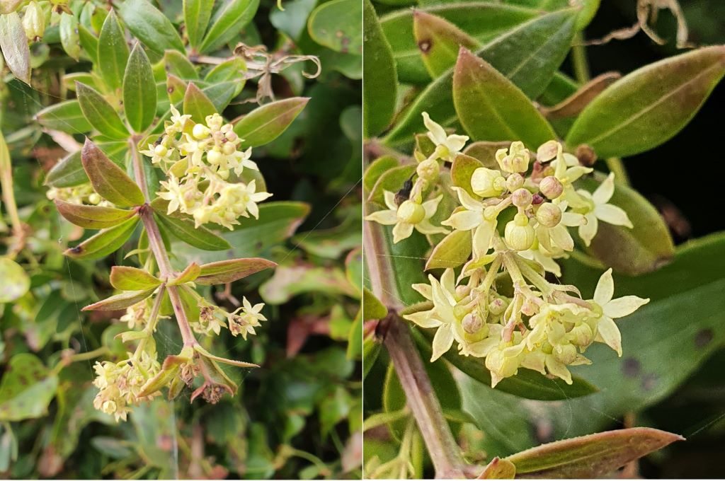  20210412-183747---Copie