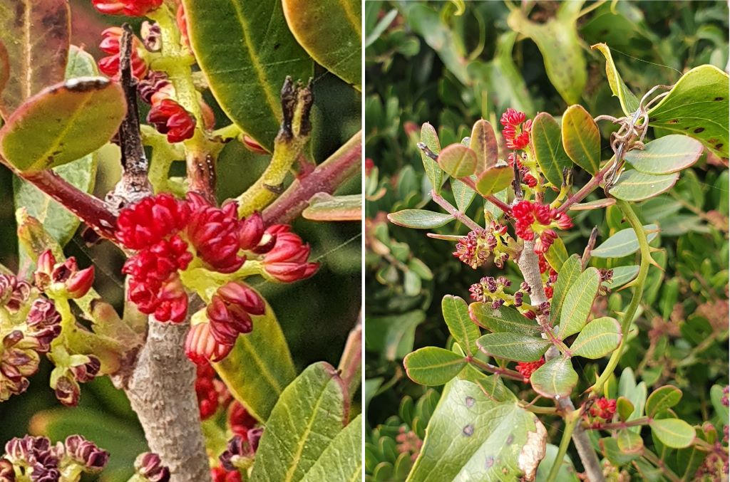  20210412-183810---Copie