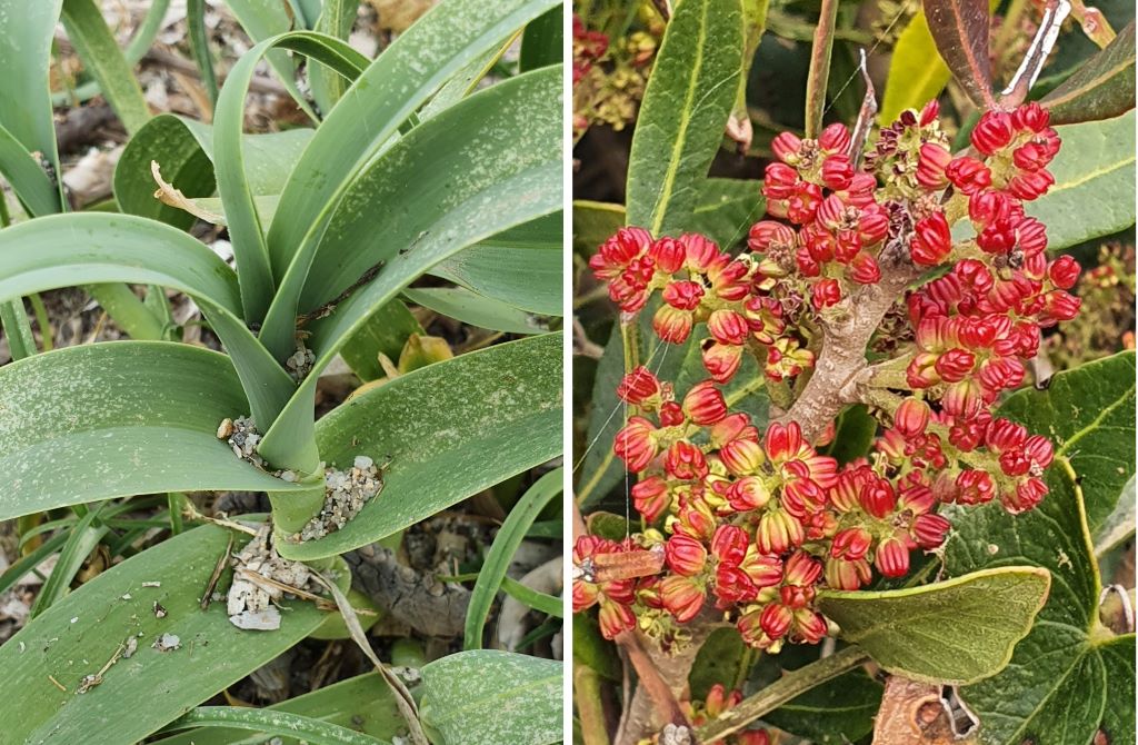  20210412-183846---Copie