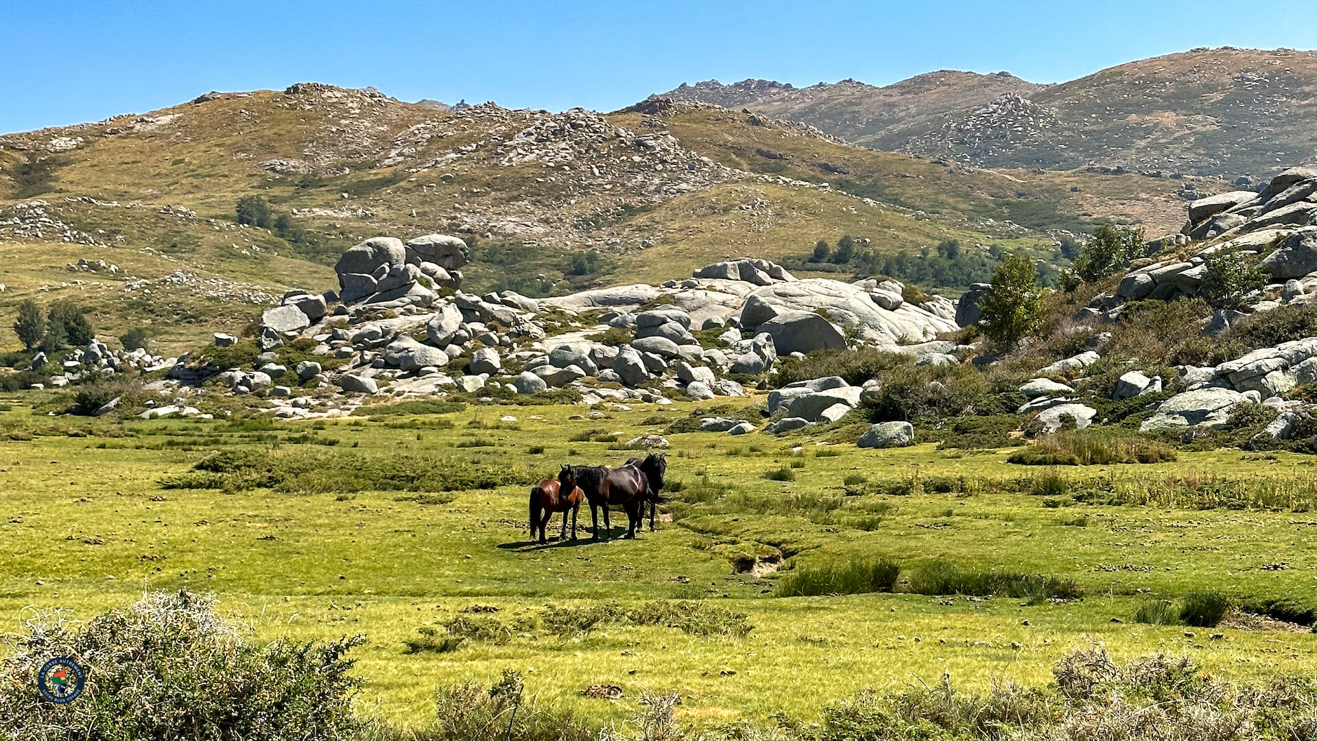  2022--E-Bike-Moutain---groupe-VTT-Cuscionu 3