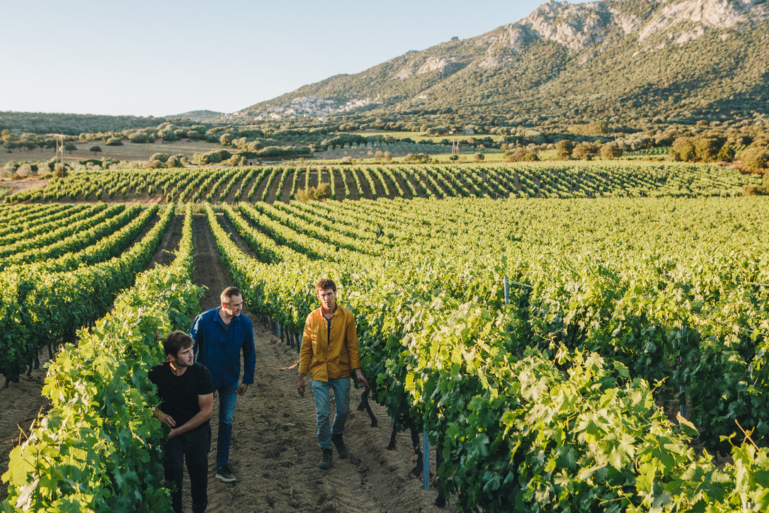  Clos Culombu Lumio Corsica