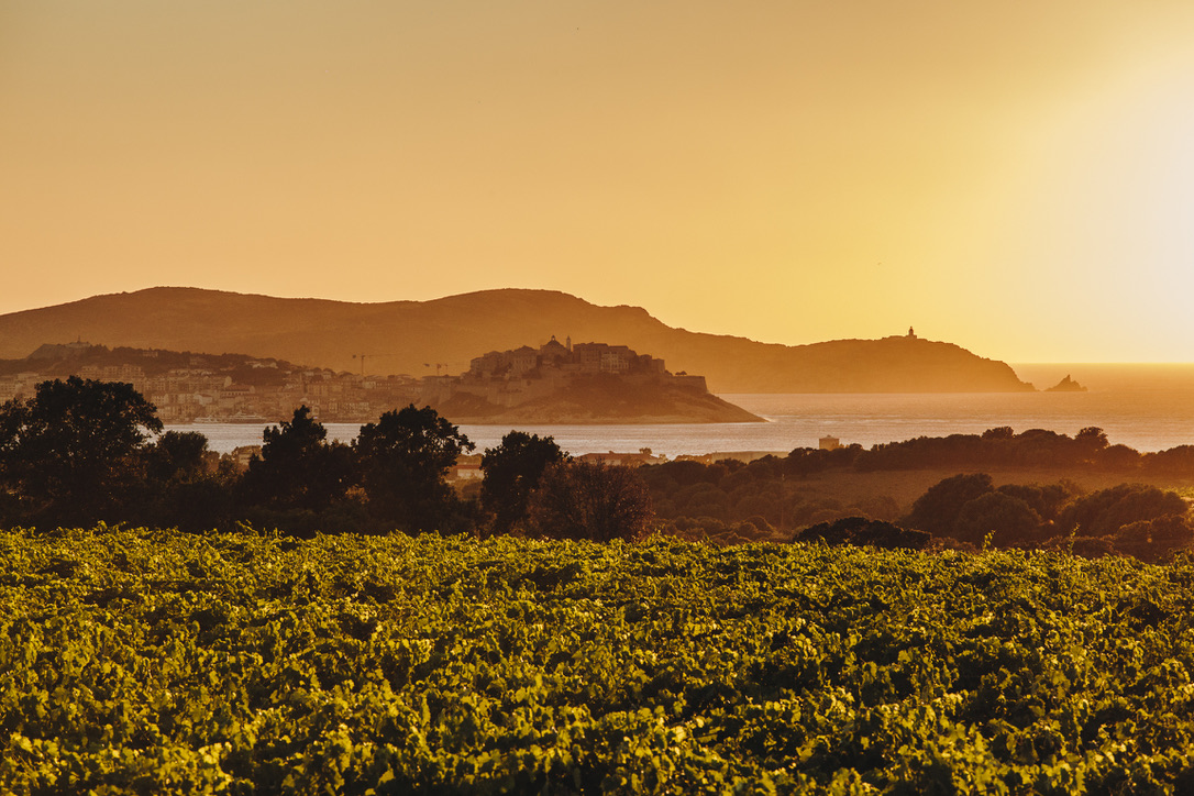  Clos Culombu Lumio Corsica