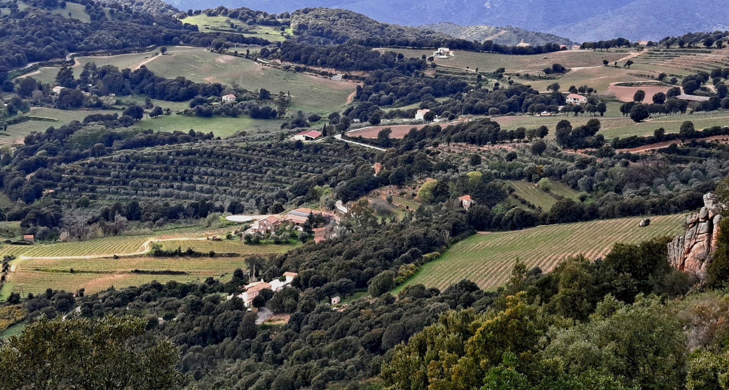  vue-vallée-Cinarca-alzeto