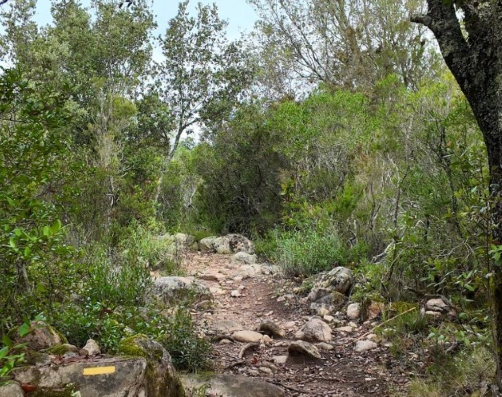  2024-09-24-GG-Vallee-du-Cavu-Automne--26---Personnalise-