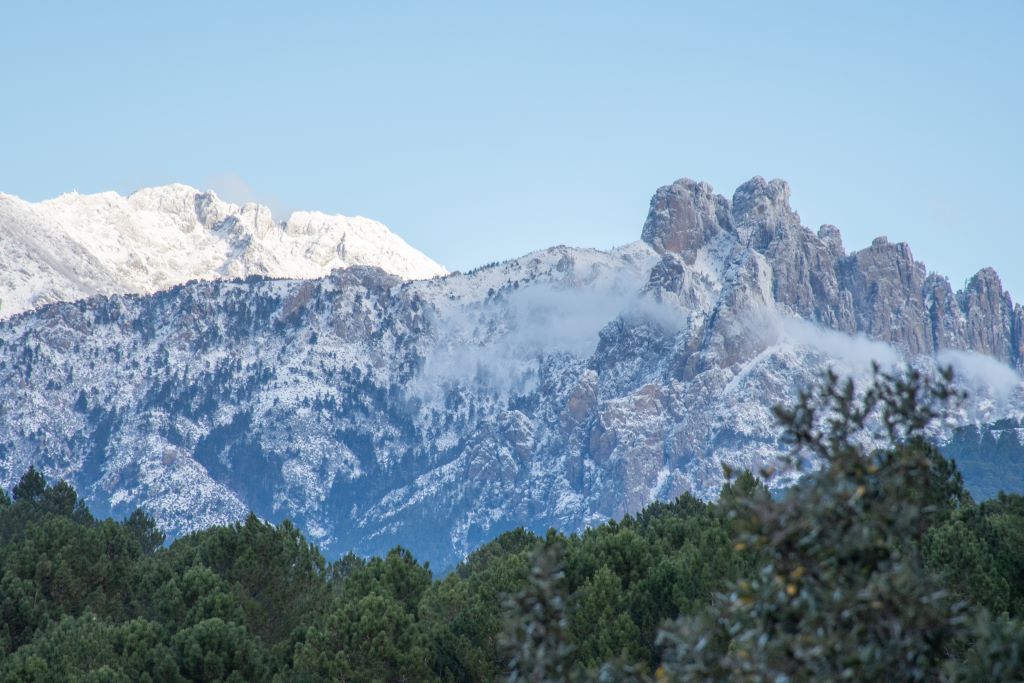  Zonza paysages printemps été