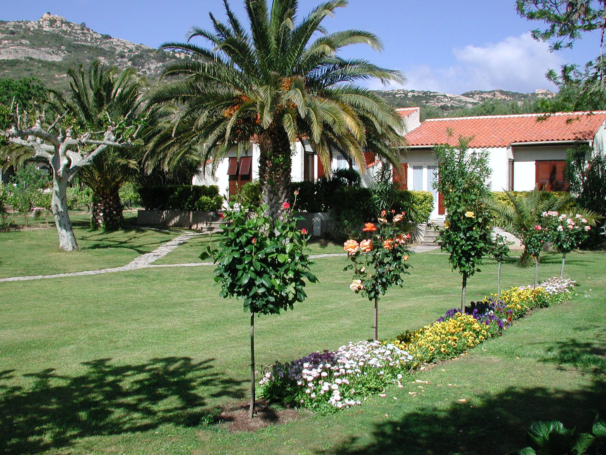  logements de 2 à 8 personnes à Calvi