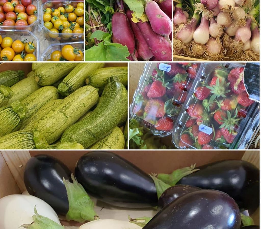  MAGASIN DE PRODUCTEURS DU TARAVO SARTEN_2AIS VALINCO