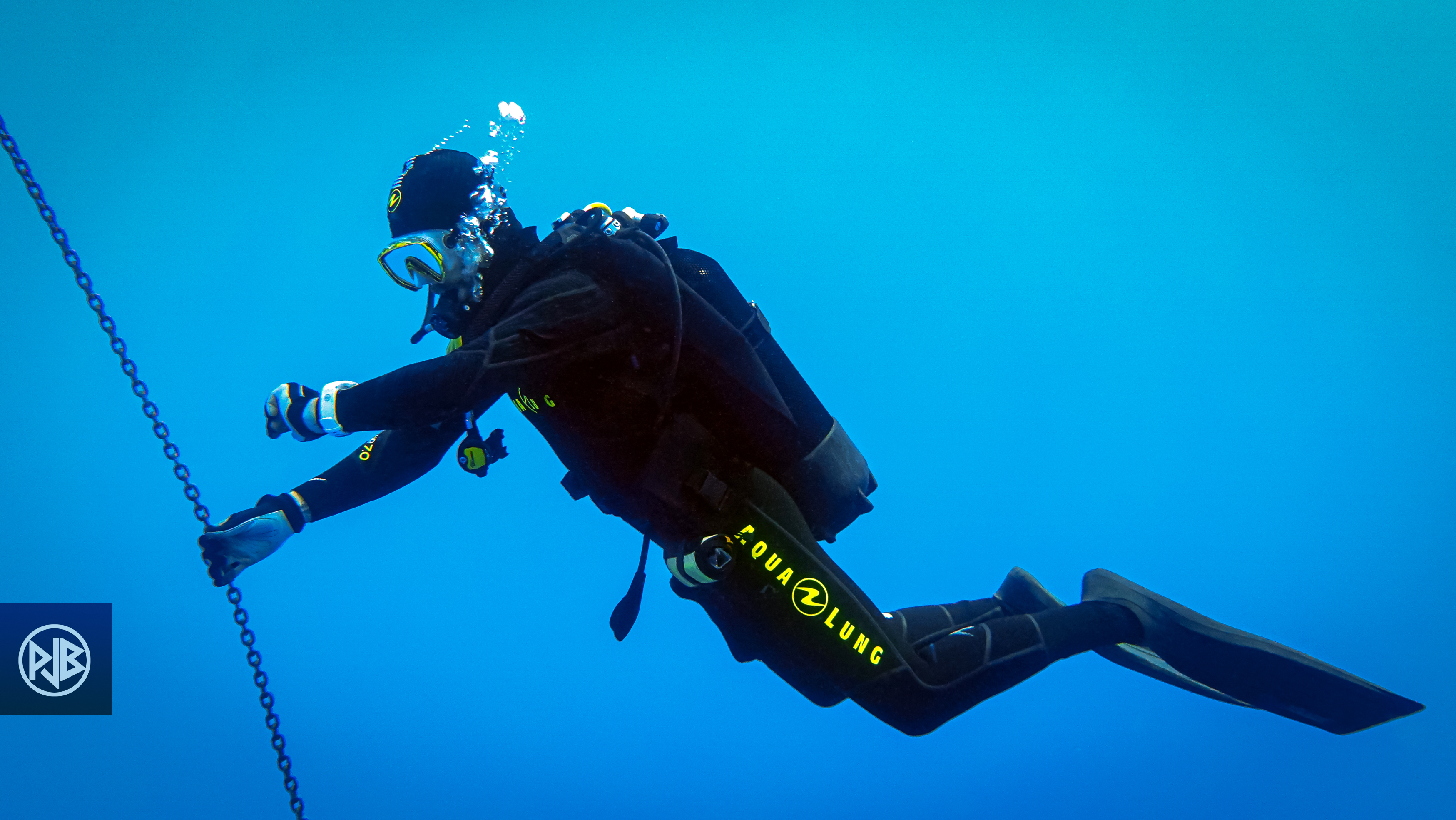  Beluga Diving