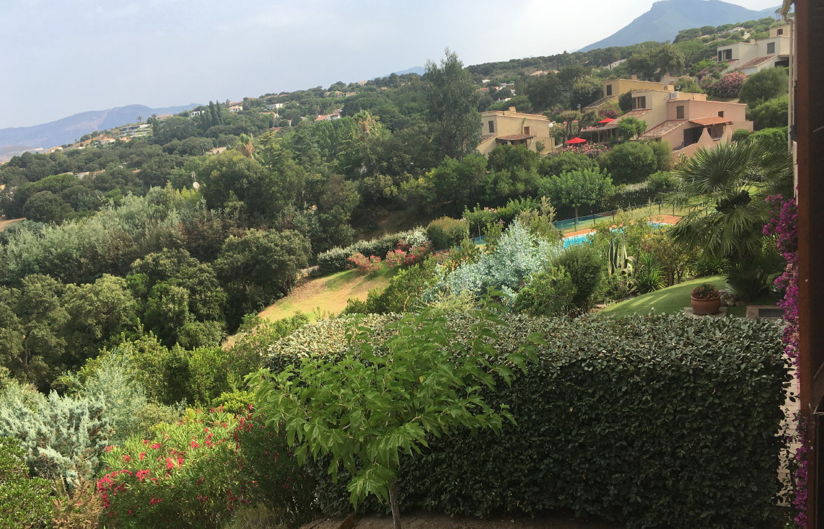  22.La piscine vue depuis la terrasse