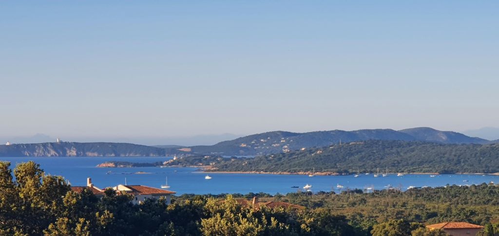  24121-431037c38ffa42b6a4ae058699482aff