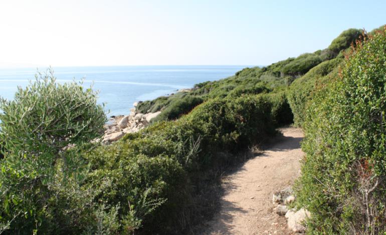 Sentier du Triu photo R.Leonardi R.Leonardi pour conservatoire du littoral