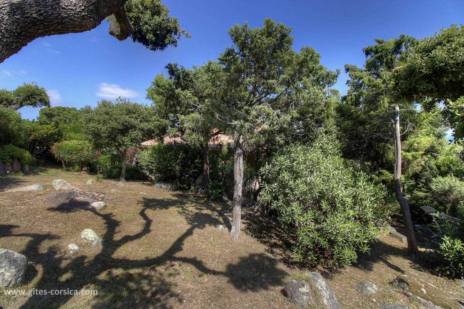  25641_23