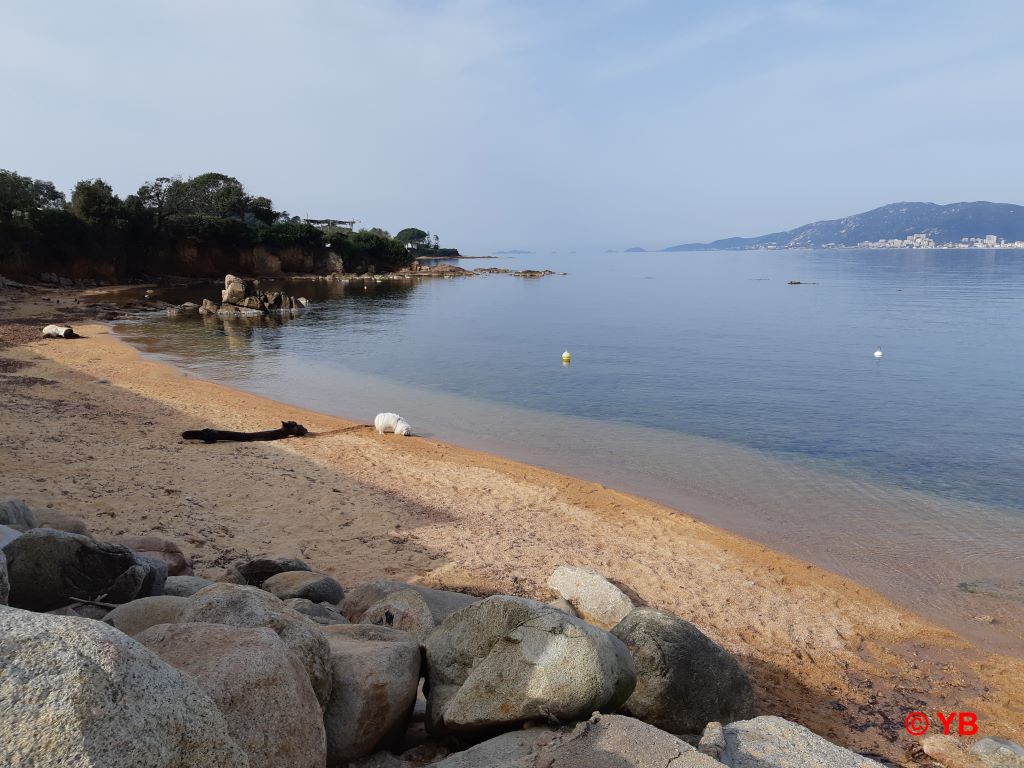  26-t3d-corsica-porticcio-plage-jour