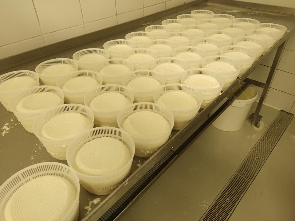  269782703_1982608671901294_744723666039280554_n