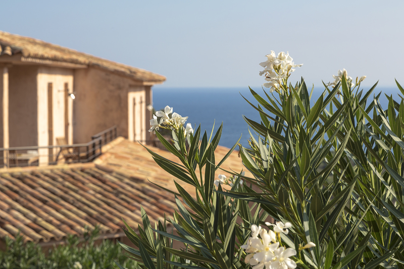  Les Terrasses de Scalegiu