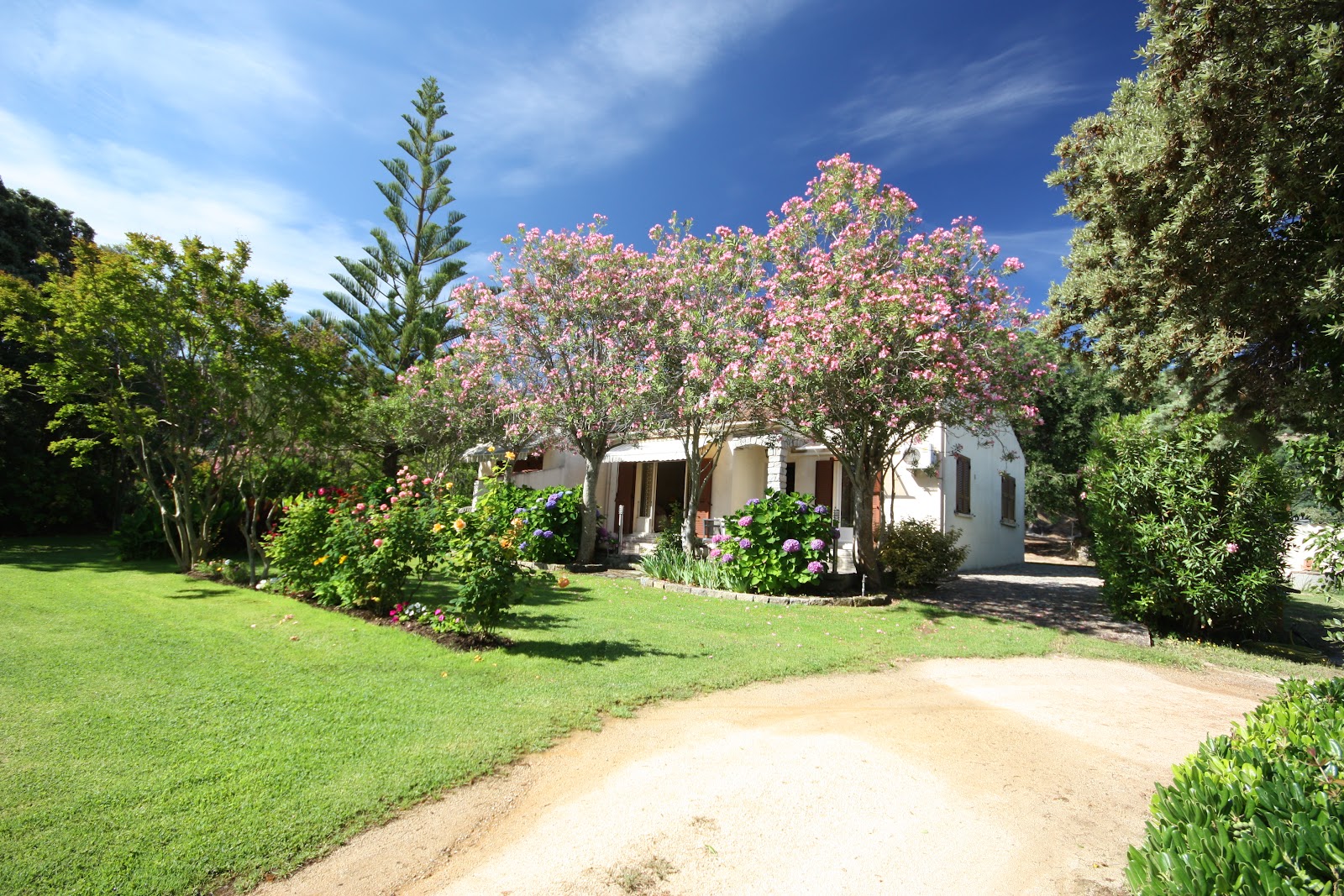  Casa Oleanda