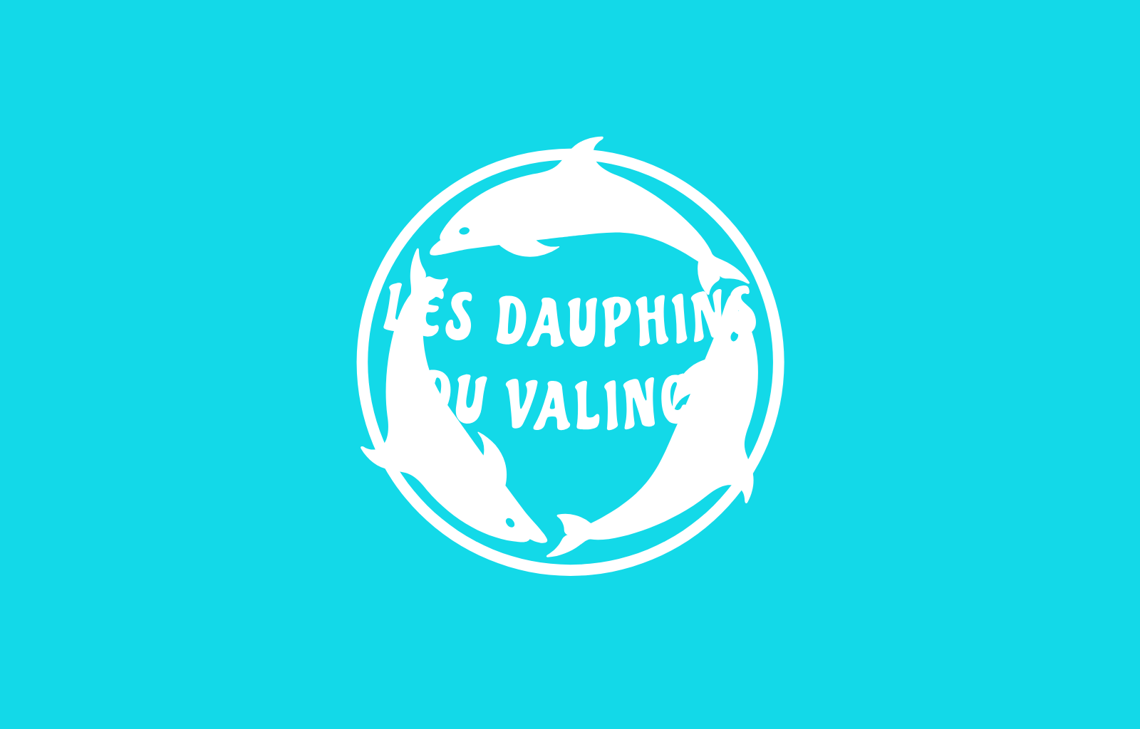  302158604_565084122076025_4203088511133387881_n