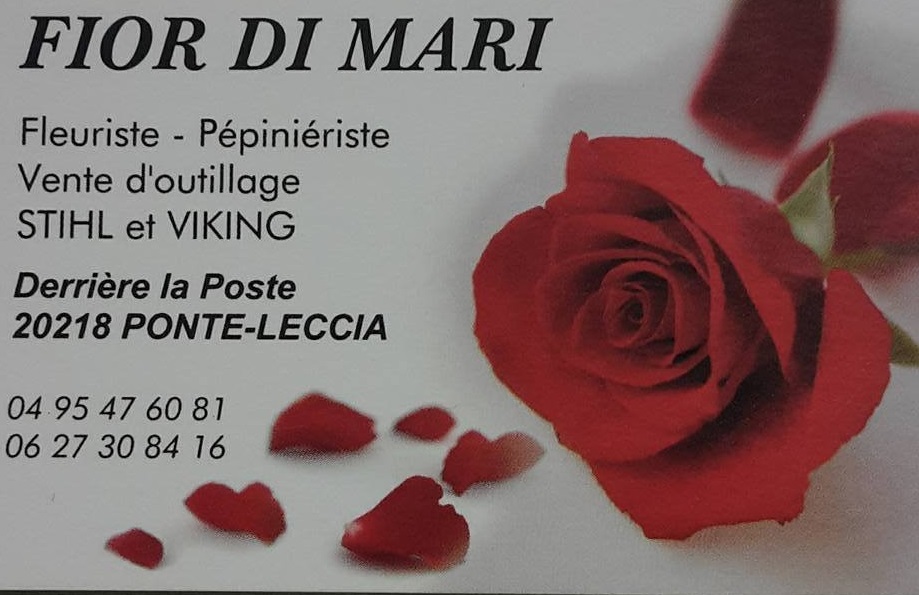  305625599-516718863790076-9185617637369310903-n