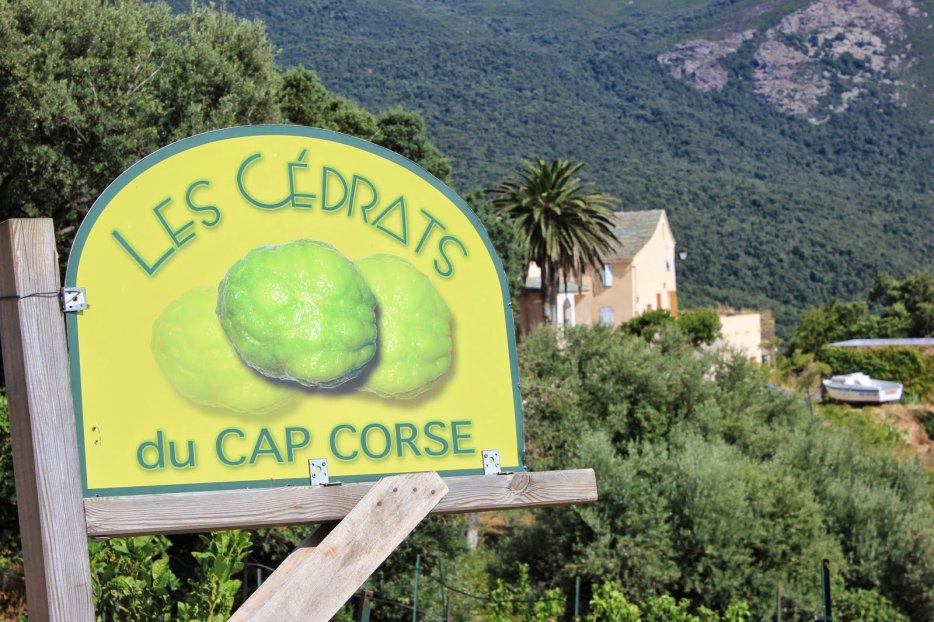 ©Cédrats du Cap Corse