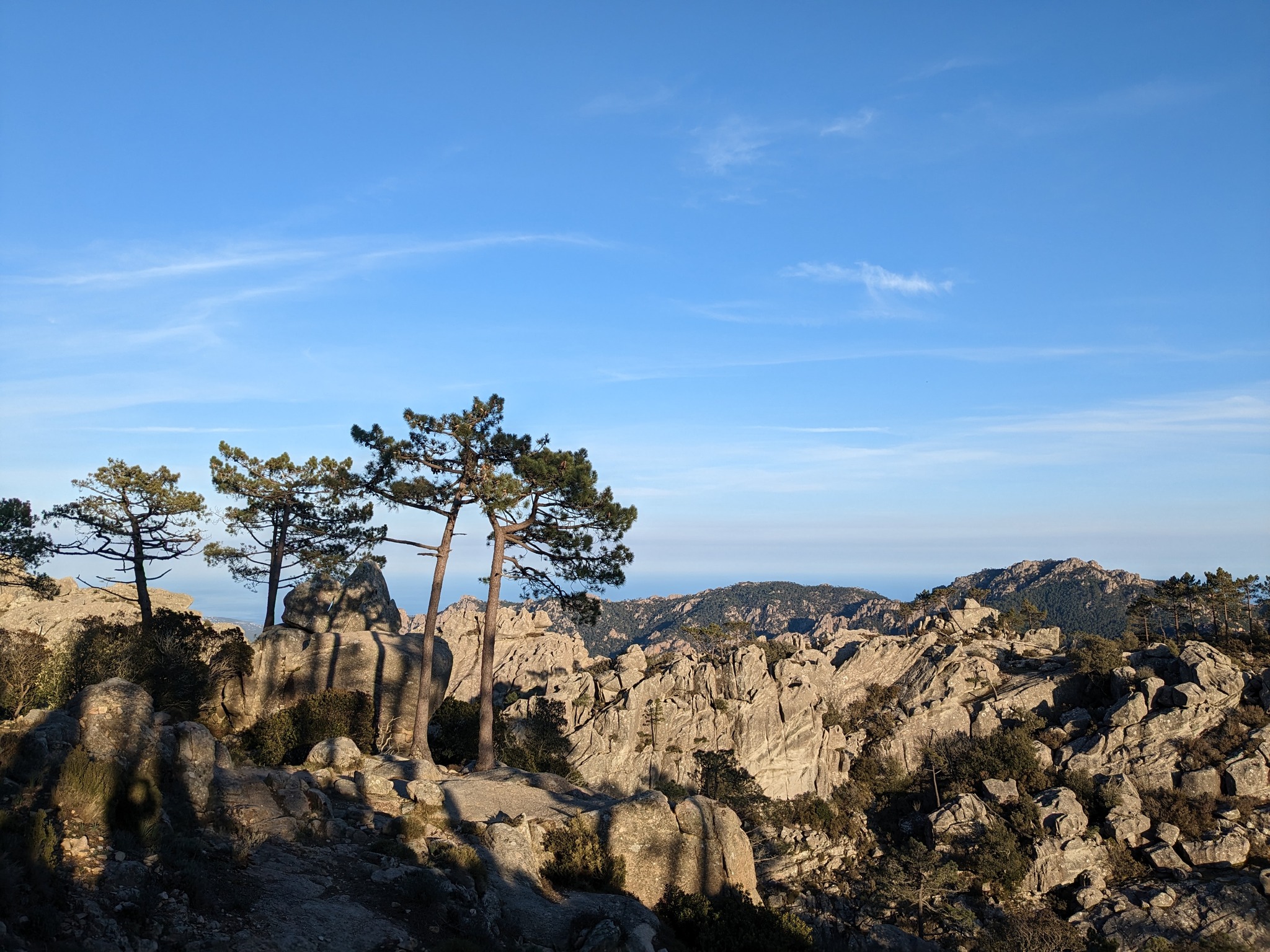  piscia_vue