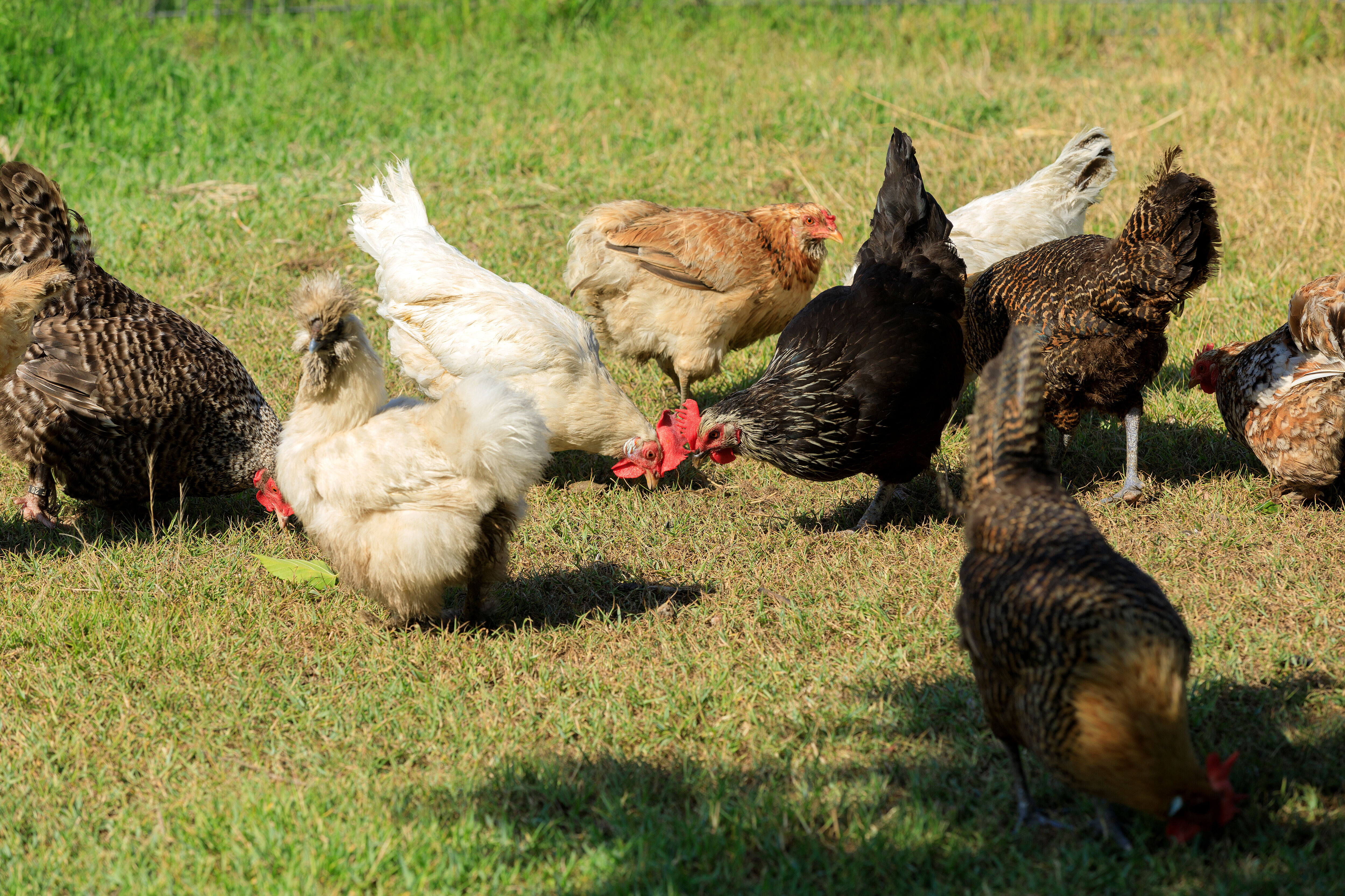  Grand Hôtel de Cala Rossa