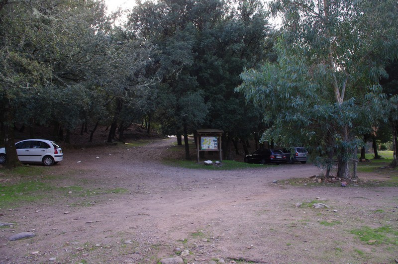  Baignade en rivière et balade en forêt