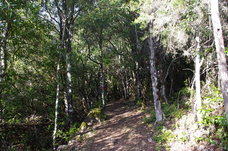  Baignade en rivière et balade en forêt