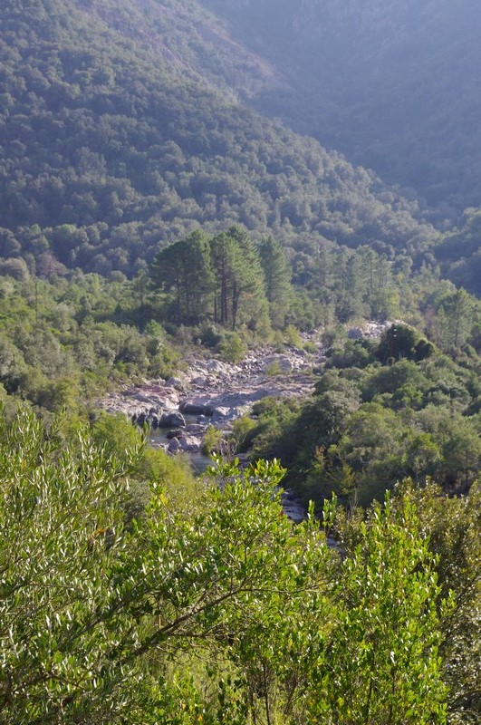  Baignade en rivière et balade en forêt