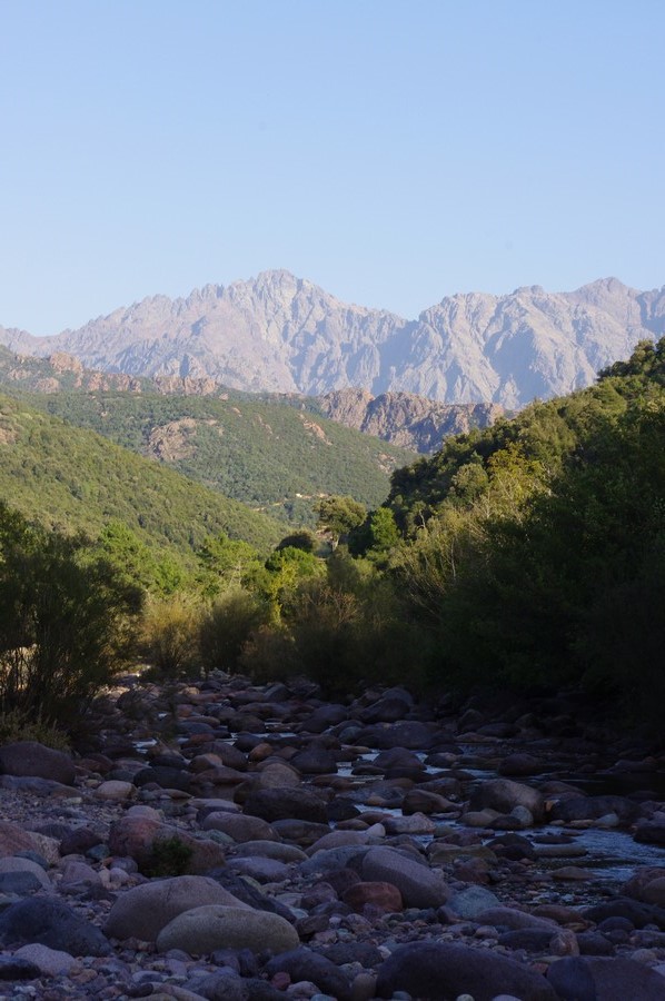  Baignade en rivière et balade en forêt