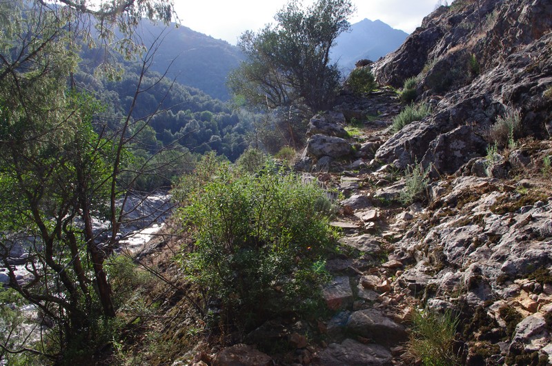  Baignade en rivière et balade en forêt