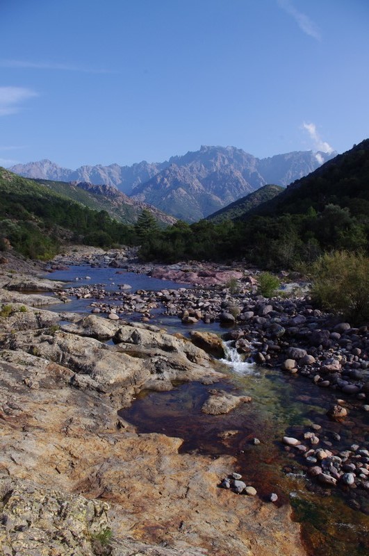  Baignade en rivière et balade en forêt