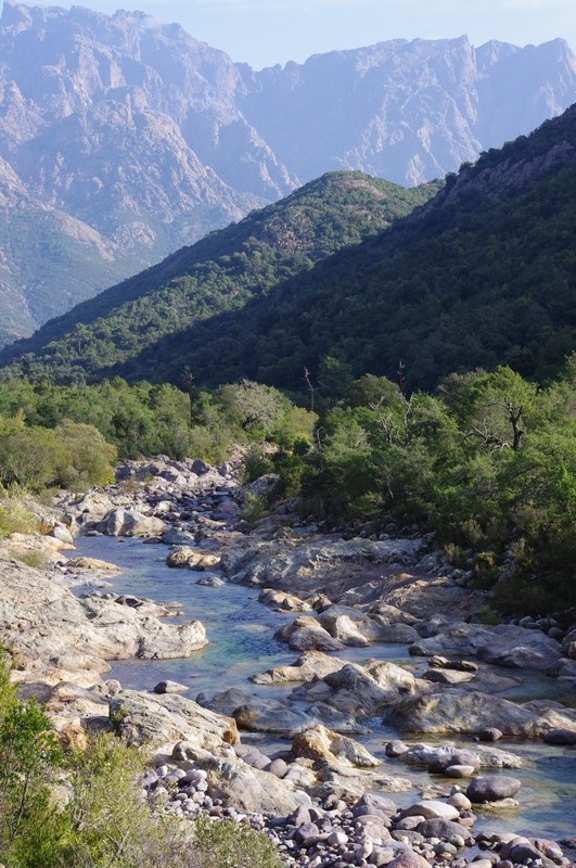  Baignade en rivière et balade en forêt