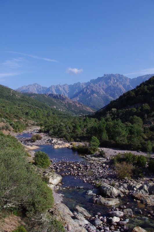  Baignade en rivière et balade en forêt