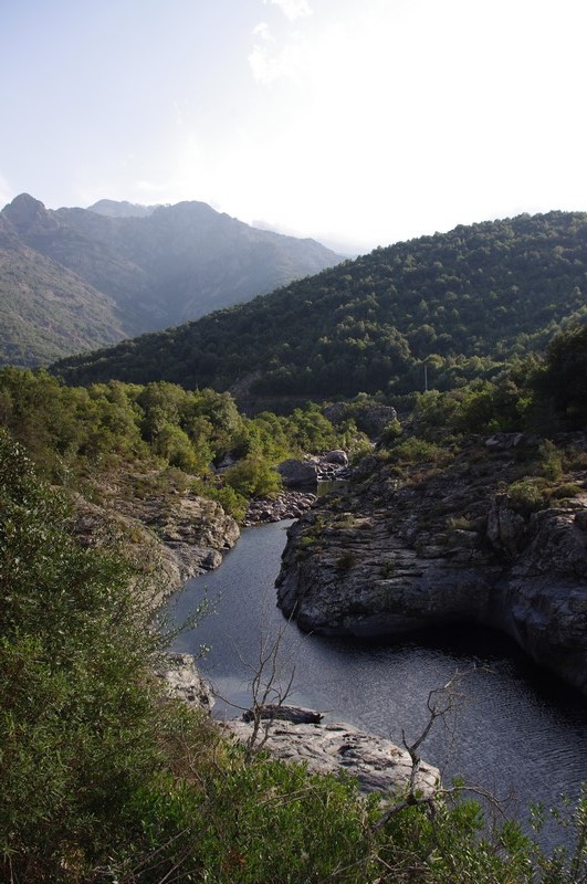  Baignade en rivière et balade en forêt