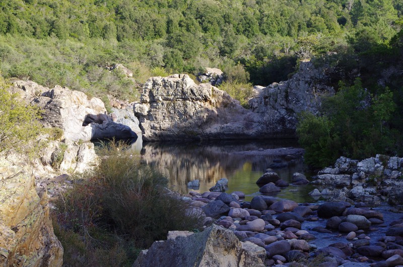  Baignade en rivière et balade en forêt